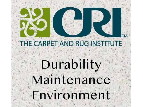 The Carpet And Rug Institute